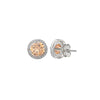 Silver Champagne Crystal 6mm Round Studs