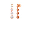 Rose Gold Hanging Drop Earrings