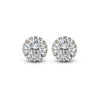 Silver Crystal Craze  Earrings