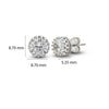 Silver Crystal Craze  Earrings