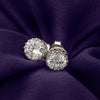 Silver Crystal Craze  Earrings