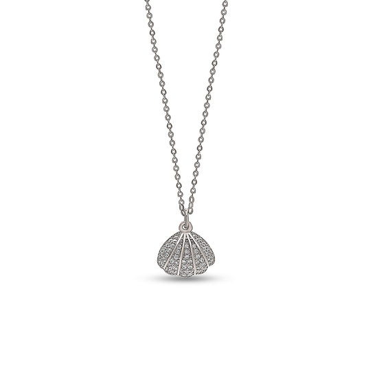 Silver Open Shell Pendant with Chain